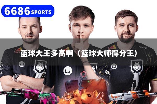 篮球大王多高啊（篮球大师得分王）