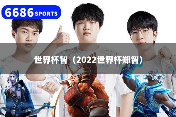 世界杯智（2022世界杯郑智）