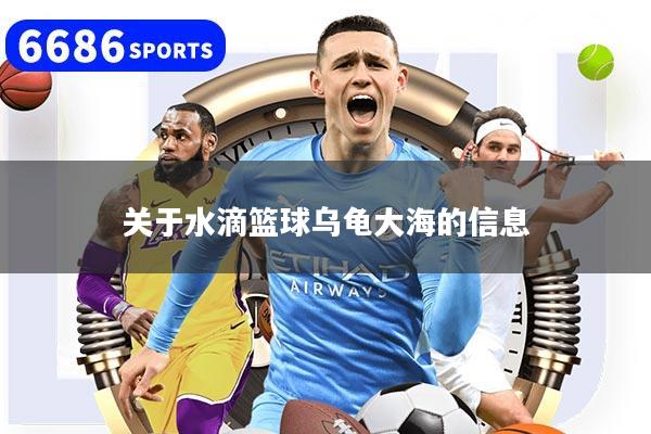 关于水滴篮球乌龟大海的信息